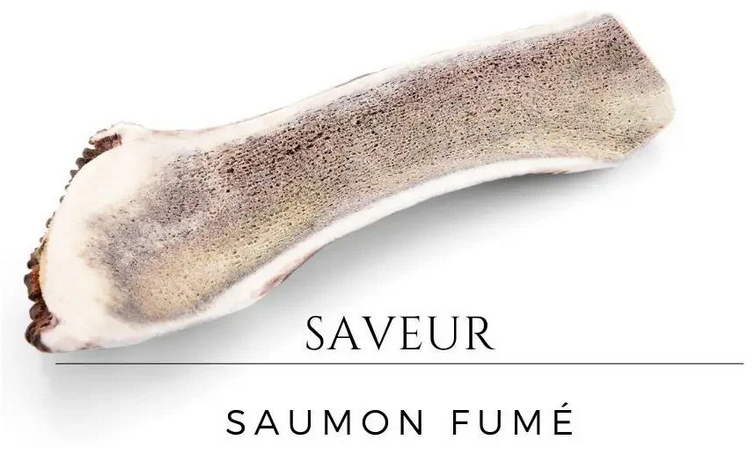 Bois de cerf pour chien tranché aromatisé Saumon fumé