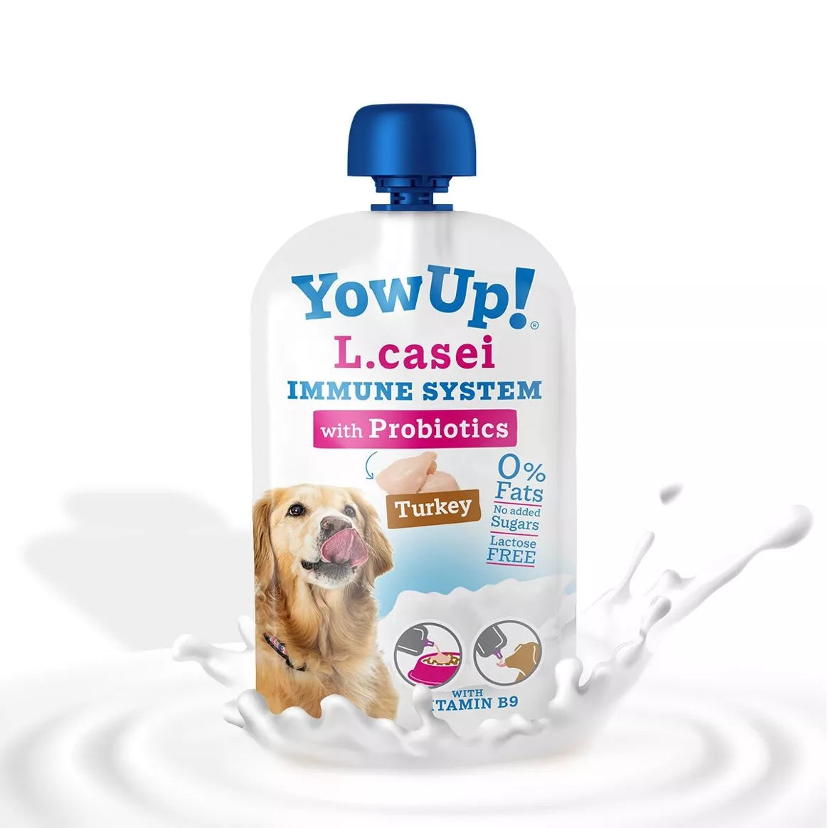 Yoghourt sans lactose chien systéme immunitaite