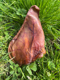 Oreille de porc