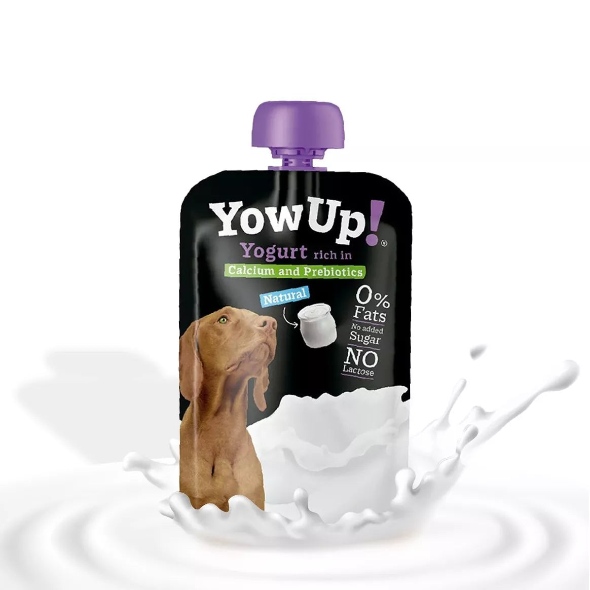 Yoghourt chien sans lactose avec calcium et probiotique