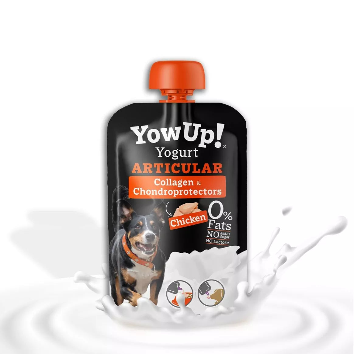 Yoghourt sans lactose articulation